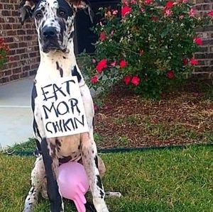 Meet your Posher, Jason